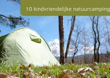 tent op een grasveld