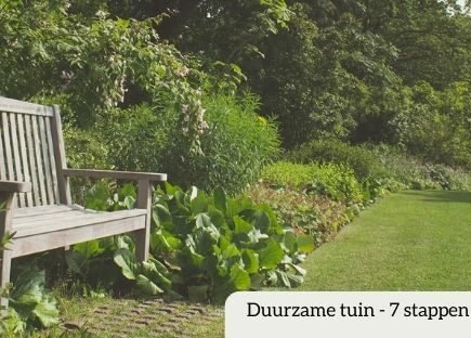 houten bankje in een tuin met grasveldje