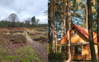 2 afbeelding, 1 van de heide in Nederland, de ander een houten huisje op vakantiepark