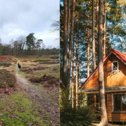 2 afbeelding, 1 van de heide in Nederland, de ander een houten huisje op vakantiepark