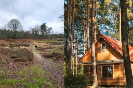 2 afbeelding, 1 van de heide in Nederland, de ander een houten huisje op vakantiepark