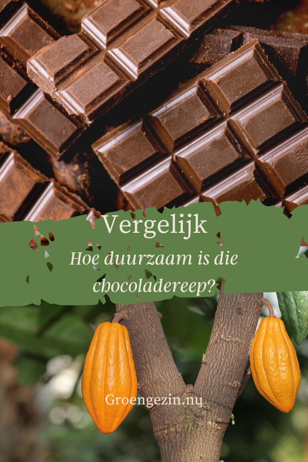 chocoladerepen en cacaoplant
