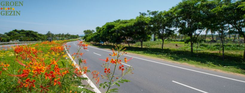 snelweg met bloemen langs de berm