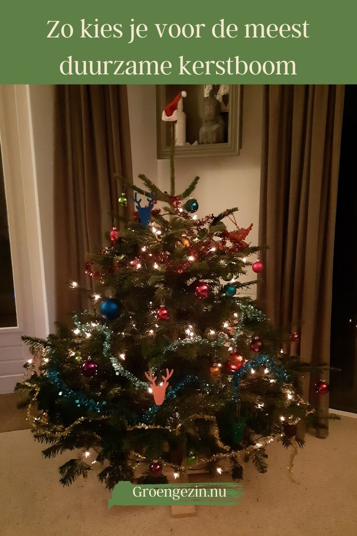 Zo Kies Je Voor De Meest Duurzame Kerstboom