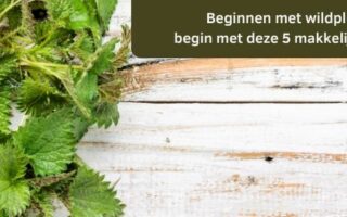 brandnetel op een witte plank